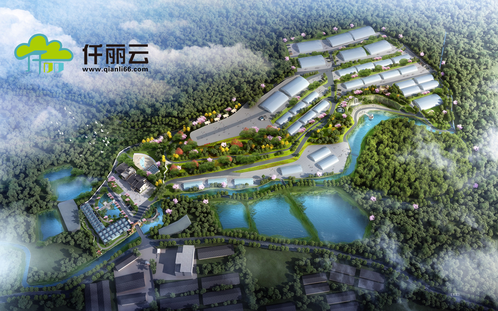 产业园区宝霖兰花基地1.jpg